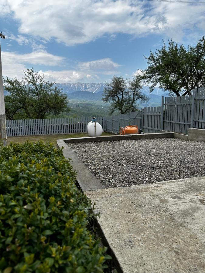 Prater House Mountain View Villa Moieciu de Jos Exterior foto